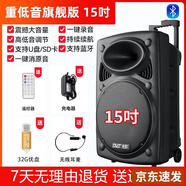 先科（SAST）廣場舞音響專業(yè)戶外k歌音箱帶話筒家用拉桿藍(lán)牙手拉麥克風(fēng) 15吋+單耳麥+U盤