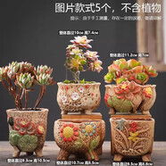 仟尚億多肉花盆陶瓷個性簡約室內植物創(chuàng)意粗陶花盆栽花盆透氣大口徑組合 五彩花朵組合5個 中等