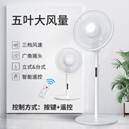 沃牧沃牧電風(fēng)扇臺(tái)地兩用家用落地扇節(jié)能強(qiáng)勁大風(fēng)力遙控扇宿舍臥室搖頭輕音電扇 【遙控款】五葉扇+臺(tái)地兩用+底盤加重
