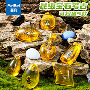 菲貝（feibei）兒童考古挖掘玩具盲盒昆蟲寶石琥珀化石挖寶藏玩具男孩