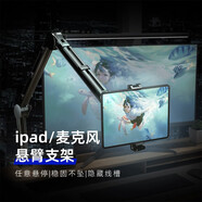 VIJIM 【優(yōu)籃子】LS24麥克風(fēng)支架懸臂話筒桌面電容麥克風(fēng)ipad支架俯拍直播K歌錄音主播相機(jī)拍照懶人支架 LS24支架+ipad夾（4.7-12.9寸）