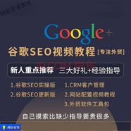 Google營(yíng)銷(xiāo)推廣教程海外推廣視頻課程 谷歌SEO關(guān)鍵詞排名優(yōu)化廣告網(wǎng)絡(luò)新手入門(mén)培訓(xùn)教程 谷歌SEO視頻教程