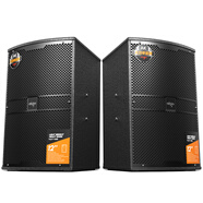 愛(ài)國者12吋X119會(huì )議室音響套裝中小型家庭KTV培訓專(zhuān)用舞臺卡拉ok大功率大音量