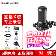 鐵三角（Audio-technica）AT2035直播K歌電容麥克風(fēng)電腦話筒有聲書配音聲卡麥克風(fēng)全套設(shè)備套裝 【咨詢到手價1059元】AT2035配懸臂支架