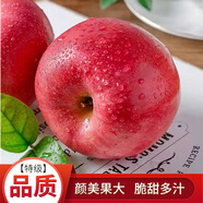 洛川蘋果紅富士蘋果時令水果蘋果新鮮新果冰糖心脆甜蘋果禮盒陜西特產(chǎn) 凈重8.5斤 80mm 甄選大果