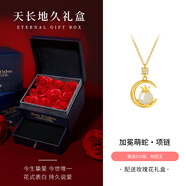 銀千惠925銀本命年和田玉項鏈女生肖蛇年吊墜輕奢情人節(jié)生日禮物送女友2 靈玉生肖項鏈/蛇+天長地久禮盒 配首飾證書/情人節(jié)女生禮物/精美禮盒