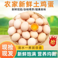 筱诺 新鲜现捡初生蛋土鸡蛋 笨鸡蛋散养柴鸡蛋 60枚鸡蛋
