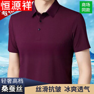 恒源祥桑蠶絲短袖T恤男夏季新款中年寬松大碼無痕抗皺上衣 酒紅【無痕短袖】 4XL 190/104A 建議190-200斤