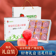 洛川蘋果【順豐】正宗陜西延安洛川蘋果陜西蘋果產(chǎn)地直發(fā)時令脆甜多汁生鮮 9枚90mm  甄選大果  尊享禮盒
