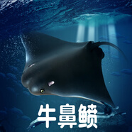 林暢模玩兒童海洋動物玩具實心仿真深海魚模型鋸鰩刺魟蝠鲼箱鲀認知生物 牛鼻鲼