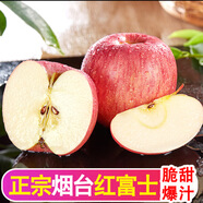 甜醉了煙臺蘋果水果生鮮果脆甜棲霞紅富士整箱應季山東特產禮盒產地直發(fā) 6枚特大果