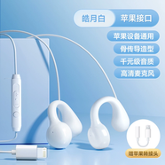 力族 有線(xiàn)耳機typec接口不入耳式高音質(zhì)圓孔優(yōu)質(zhì)耐用久戴不痛適用華為 頂配版【蘋(píng)果接口】白色