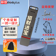 ThinkPad聯(lián)想thinkplus固態(tài)U盤雙接口Type-C/USB3.2高速傳輸閃存手機(jī)電腦投標(biāo)商務(wù)辦公優(yōu)盤 【定制款】TU200 Pro【256G】