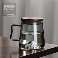 禾艾蘇（heisou）日式玻璃杯耐熱加厚創(chuàng)意泡茶杯居家辦公水杯帶防燙把手綠茶杯杯子 登極蓋杯（煙灰）-450ML