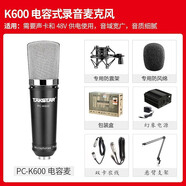 得勝Takstar/得勝PCK600電容麥克風直播唱歌演講錄制專業(yè)降噪掛式話筒 幻象電源套裝+支架