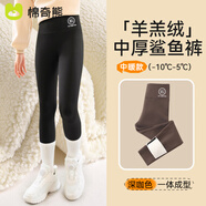 棉奇熊兒童鯊魚褲2025新款加絨加厚秋冬款一體絨保暖黑色女童打底褲外穿 深咖【中厚保暖羊羔絨】 110 CM