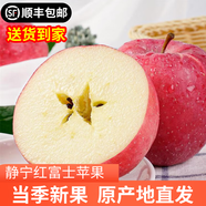 靜寧蘋果 【順豐到家】甘肅紅富士蘋果 現(xiàn)摘當(dāng)季新鮮水果蘋果源頭直發(fā)包郵 凈重4斤寶寶果11-12枚