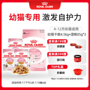 皇家皇家貓糧?幼貓貓糧?干濕搭配?K36 4.5kg+啫喱肉凍KJP 85G*3