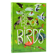 進(jìn)口英文原版 自然科普藝術(shù)大書6冊(cè)合售The Big Book of Birds鳥類Blue海洋Bugs蟲子Blooms花卉Belonging動(dòng)物關(guān)系與環(huán)保精裝大書 Birds 鳥類大書