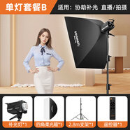 SOULMATE數(shù)魅D300Bi專業(yè)直播間led常亮攝影補光人像直播主播美顏專用打柔光燈室內(nèi)拍照錄視頻美食球形套裝 單燈套餐B【適用：四角布光 直播+拍攝】