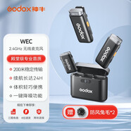 神牛（Godox）無線麥克風領夾WEC小蜜蜂一拖二相機手機戶外采訪vlog直播錄音降噪聲卡收音麥 WEC一拖二手機/相機無線麥克風 標配