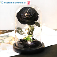 君默黑色玫瑰永生花rose 黑色玫瑰永生花rose玻璃罩擺件only干花真花 小王子黑玫瑰【帶燈】