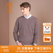 鹿王【全羊絨】羊絨衫男士V領(lǐng)簡(jiǎn)約商務(wù)純山羊絨打底衫輕薄純色毛衣 紫咖色（升級款） M 170/88A