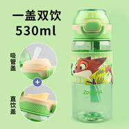 迪士尼DISNEY兒童水杯一蓋雙飲塑料杯中小學(xué)生運(yùn)動(dòng)喝水杯子530ML綠狐貍