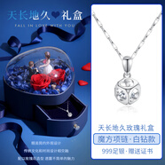 圣卡伊 S999純足銀項鏈女士鎖骨鏈吊墜小眾潮飾品520情人節(jié)禮物送女友 項鏈/白鉆+【天長地久玫瑰禮盒】