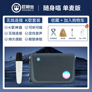 屁顛蟲(chóng)P60隨身唱挎包音響戶(hù)外唱歌直播便攜式音箱 黑色【送話(huà)筒】