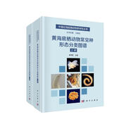 黃海底棲動(dòng)物常見種形態(tài)分類圖譜/海洋/底棲動(dòng)物/海洋生物分類/生態(tài)學(xué)/生物富集/生物污染/海洋污染監(jiān)測/圖譜