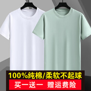 戰(zhàn)浩【2件】純棉短袖t恤男夏季衣服圓領(lǐng)半袖寬松白上衣純色打底衫體恤 白色+豆綠色 XL 建議【130-145斤】