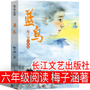 藍(lán)鳥 梅子涵小說選 梅子涵著 一民選編 小學(xué)生初中生課外閱讀書籍 江陰新初一望江杯必讀書 長江文藝出版社 藍(lán)鳥