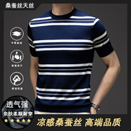 黎依奴（LISLAVE）桑蠶絲短袖T恤男高端針織衫2024夏新新款半袖修身?xiàng)l紋上衣服男裝 上青12736 L（建議115~130斤）