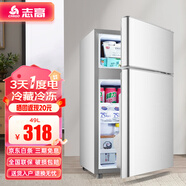 志高小冰箱49L迷你小型家用 下冷藏上冷凍兩用宿舍寢室出租房雙門(mén)辦公室電冰箱 節能省電 一級能效-49L銀雙門(mén)【省電輕音】