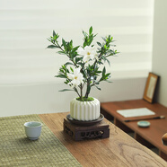 八芽小葉梔子花盆栽開(kāi)花植物室內桌面茶幾好養花卉綠植辦公室凈化空氣 梔子花-陶瓷豎紋盆-紫砂托-方托 帶盆栽好