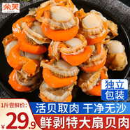 朵芙扇貝肉 扇貝粉絲蒜蓉 扇貝柱 超大帶黃扇貝肉生鮮貝類(lèi)冷凍 【多件實(shí)惠】超大帶黃扇貝肉500g