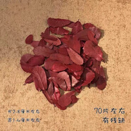 真花朵樹葉植物標(biāo)本 天然楓葉樹葉植物標(biāo)本壓花裝飾干花真樹葉枯 干紅葉70片左右 樹葉