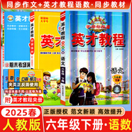 2025秋新版英才教程六年級上冊下冊語文數(shù)學(xué)英語統(tǒng)編人教版北師版 世紀英才小學(xué)6年級課本同步筆記教材解讀同步訓(xùn)練教材全解全練 6下【英才教程語數(shù)人教+英才同步作文】3本