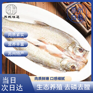 蘇城味道蘇州翹嘴白條 活殺 白水魚 淡水魚 白刁魚 海鮮水產(chǎn)低鹽 900g/2條