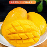 三世橙媛海南小臺農(nóng)芒果新鮮5斤應(yīng)當(dāng)季熱帶水果小臺芒整箱特產(chǎn)海南芒果 臺農(nóng)小果8斤（50-70g）