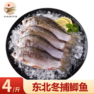 品吉味查干冬捕鯽魚 大鯉魚 白魚年貨送禮 冬捕新鮮活魚速凍 產(chǎn)地直發(fā) 大鯽魚4斤 多條 家庭裝