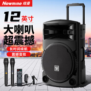 紐曼N522便攜廣場舞大功率低音炮戶外K歌藍(lán)牙拉桿電木吉他民謠樂器音箱移動擺攤喇叭雙麥帶適配器12吋