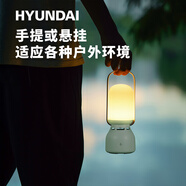 HYUNDAIHYUNDAI 戶外藍(lán)牙音箱手提戶外露營(yíng)燈音箱藍(lán)牙音箱氛圍燈YH-F018 繡球綠