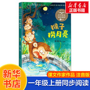 【包郵】一年級上冊拔蘿卜 大海的項鏈影子 荷葉娃娃 四季猴子撈月亮小小的船雪地里的小畫家青蛙寫詩說話 全彩注音版 同步閱讀 一年級下冊同步閱讀 課文作家作品系列小學生課外閱讀書籍書目 一年級上冊-猴子