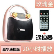 伊菲爾（Eifer）B11新款便攜式藍(lán)牙音箱廣場舞音響大音量K歌手提戶外 遙控版金+有線麥可播20小時 標(biāo)配
