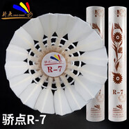 驕點羽毛球R5飛行穩(wěn)定R7耐打訓(xùn)練比賽羽毛球 R7   76速12個 1筒