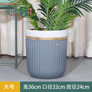 倘沭灣北歐風簡約高款陶瓷大花盆天堂鳥散尾葵專用家用種綠植樹落地 圓柱金邊水泥灰低腰大號