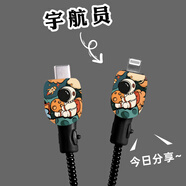 HAPPYMAKER適用于蘋果16pro數(shù)據(jù)線充電器保護套iPhone15/14防折斷13保護套透明手機殼創(chuàng)意印花 蘋果雙typec數(shù)據(jù)線套+纏繩【抱星球宇航員】