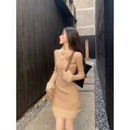 莉紗芙特2025年春季秋冬天新款女士裝長(cháng)袖連衣裙小個(gè)子時(shí)尚氣質(zhì)包臀衣服 圖片色 均碼 （建議：85-130斤）